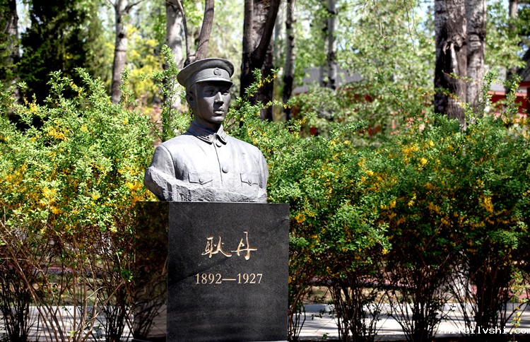 1617784900728012.jpg IMG_31876_副本.jpg